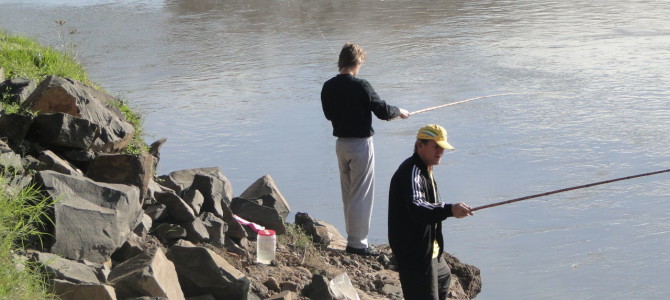 FESTIVAL DE PESCA AO LAMBARI