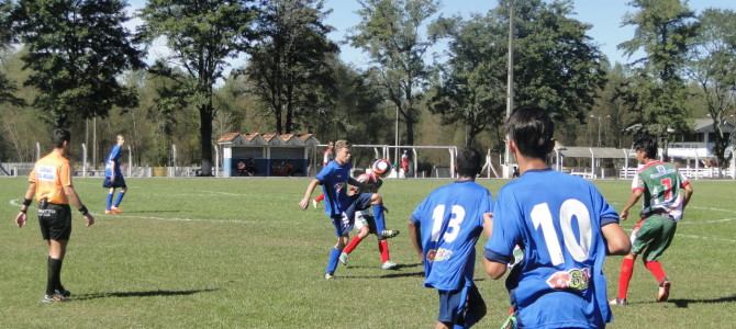 CAMPEONATO CATARINENSE DA BASE